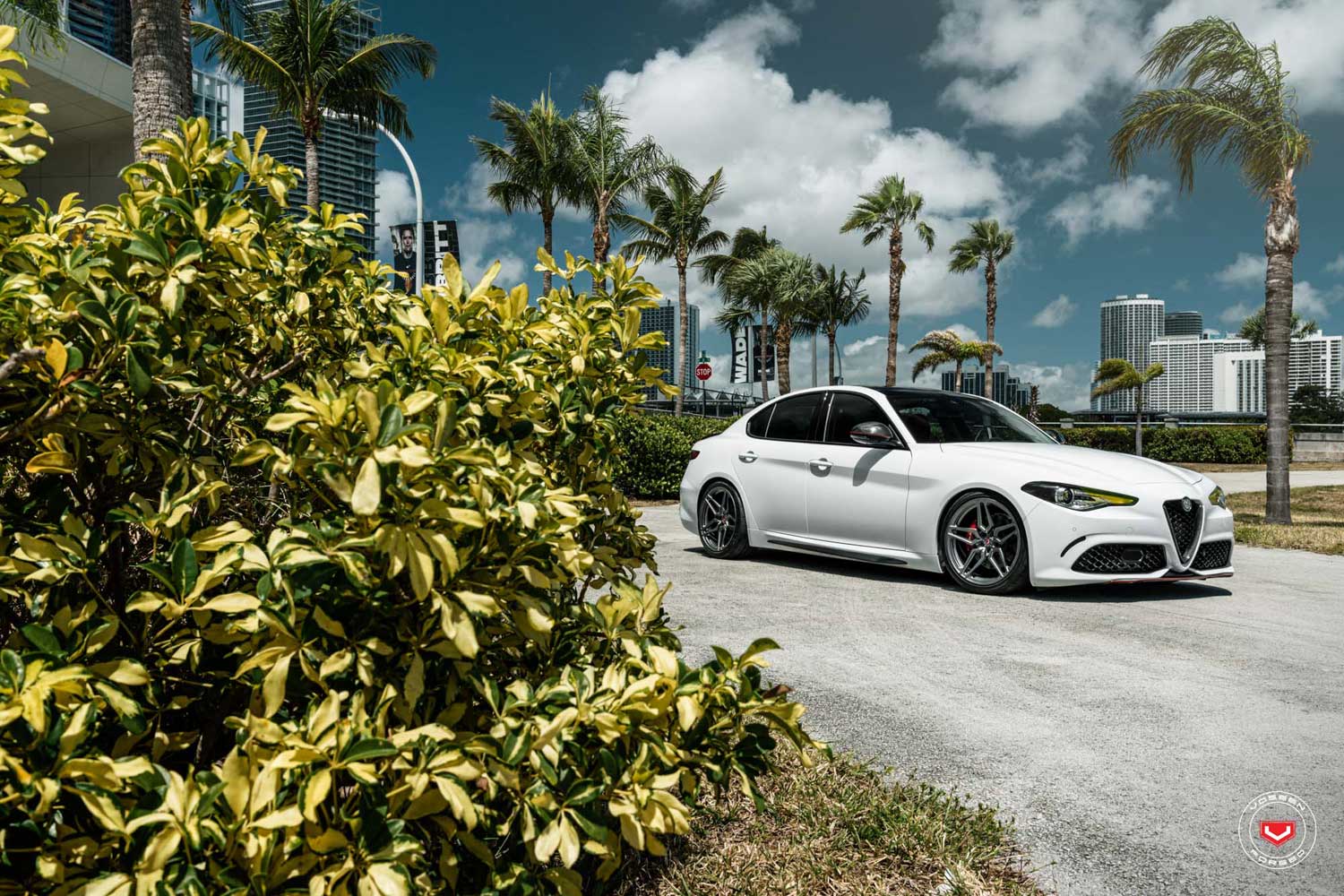 Gallery VOSSEN M-X1 vossen_MX1_Mono_Gallery_3.jpg